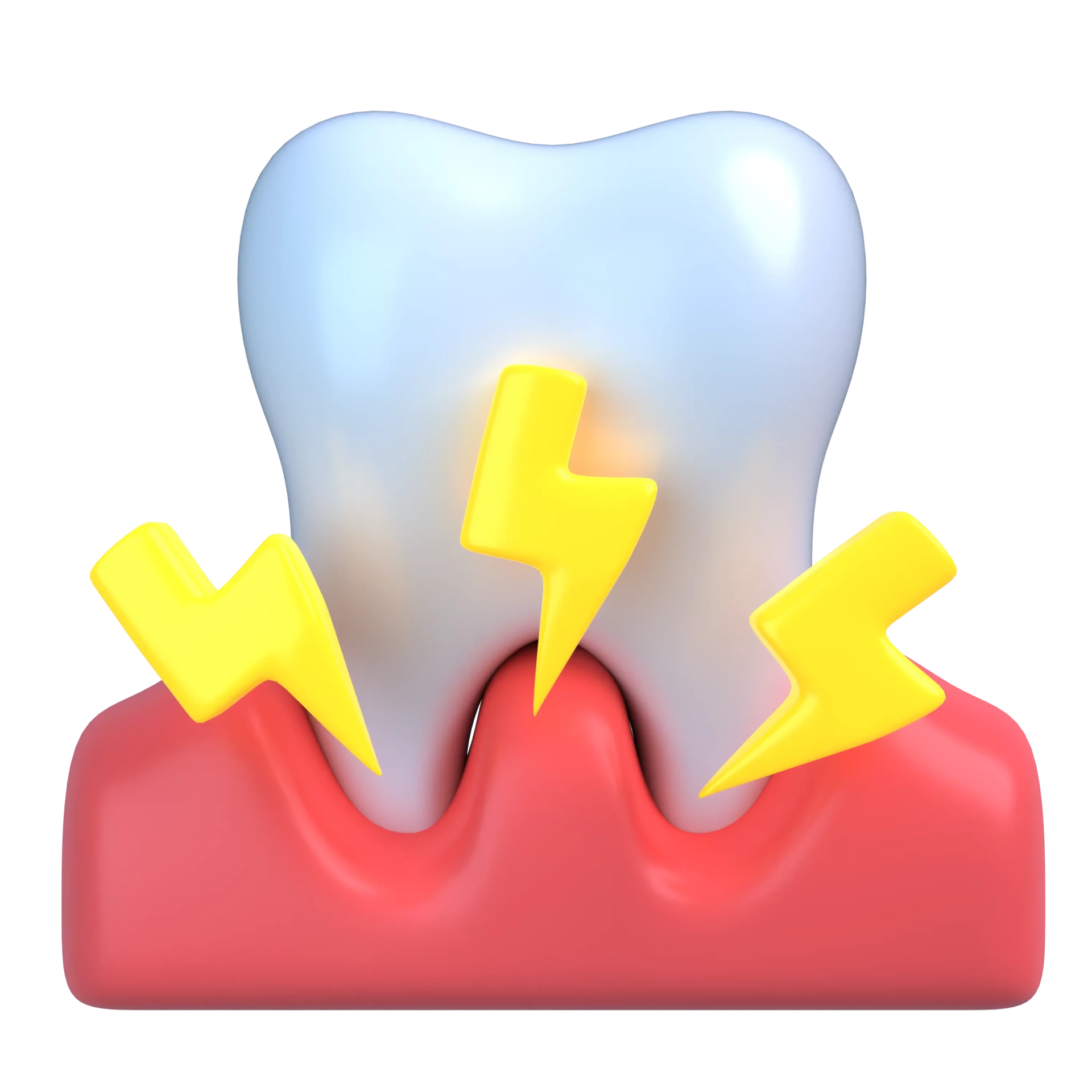 19. Gingiva